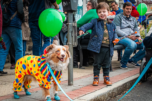 Tarrytown, NY - Oct 2025